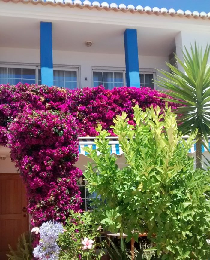 Fontainhas-Front