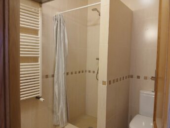 WC comum