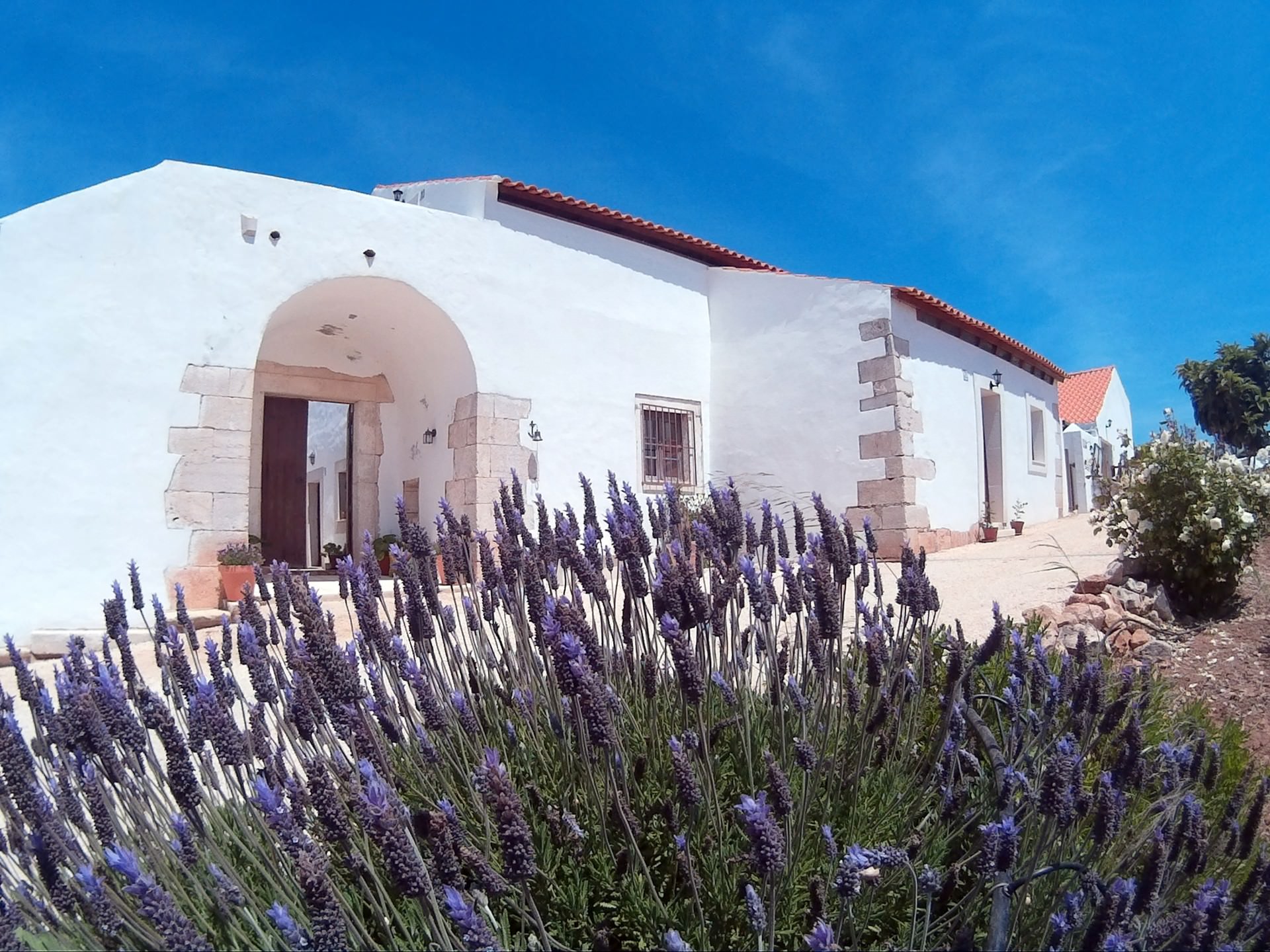 Quinta-Alagoas-Casa-dos-Bezerrinhos